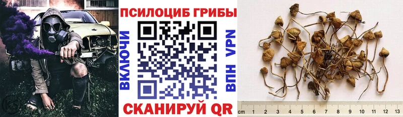 ОМГ ОМГ   купить наркоту  Нестеровская  Псилоцибиновые грибы мицелий 